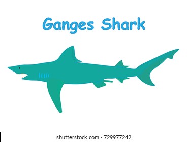 Fish Vector Cartoon Illustration T Shirt Design For Kids With Aquatic Animal Ganges Shark Fish Isolated On White Background, Different Types Of Fish Education For Your Children And Other Uses