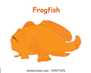 Fish vector cartoon illustration t shirt design for kids with aquatic animal frogfish isolated on white background, different types of fish education for your children and other uses