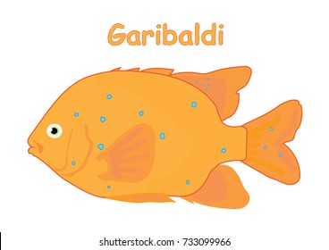 Fish vector cartoon illustration t shirt design for kids with aquatic animal garibaldi fish isolated on white background, different types of fish education for your children and other uses