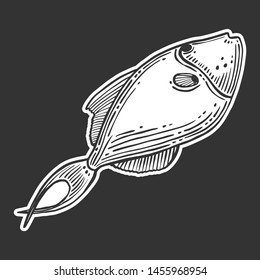 Fish. Vector concept in doodle and sketch style. Hand drawn illustration for printing on T-shirts, postcards. Icon and logo idea.