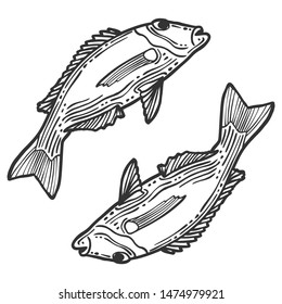 Fish. Vector concept in doodle and sketch style. Hand drawn illustration for printing on T-shirts, postcards. Icon and logo idea.