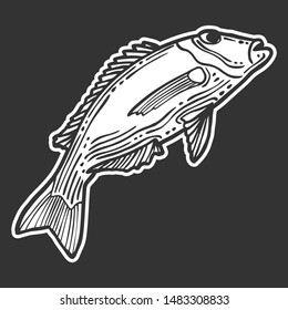 Fish. Vector concept in doodle and sketch style. Hand drawn illustration for printing on T-shirts, postcards. Icon and logo idea.