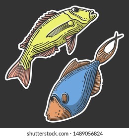Fish. Vector concept in doodle and sketch style. Hand drawn illustration for printing on T-shirts, postcards. Icon and logo idea.