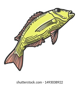 Fish. Vector concept in doodle and sketch style. Hand drawn illustration for printing on T-shirts, postcards. Icon and logo idea.