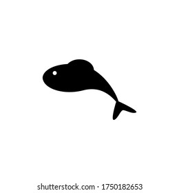 fish vector design template illustration