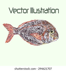 fish vector. fish dorado