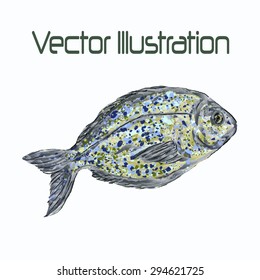 fish vector. fish dorado