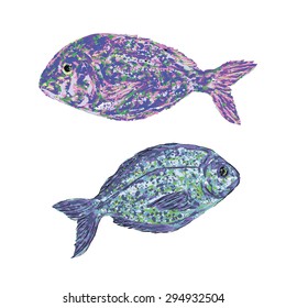 fish vector. fish dorado