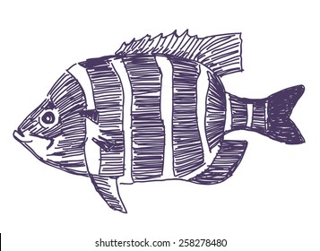 Fish vector drawing