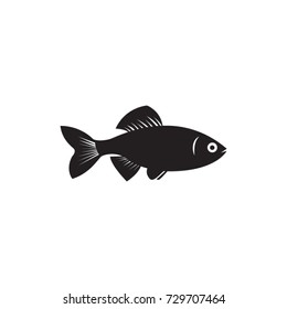 Fish vector drawing