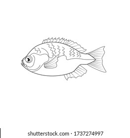 Zeichnen von Fischvektoren, zum Färben von Büchern, Illustrationen oder Clips