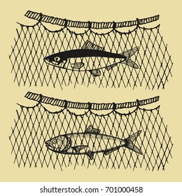 Fish In A Vector Fishing Net. Hand Drawing Illustration