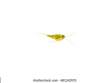 fish vector icon logo