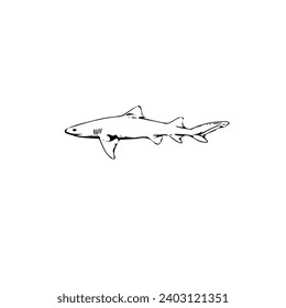 Icono vectorial del pescado. Símbolo de ilustración de mariscos. Logo del elemento marino