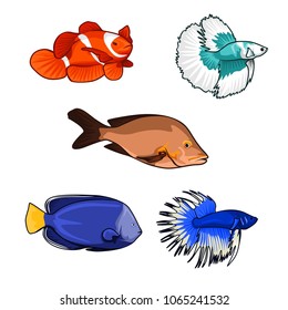 fish vector illustration