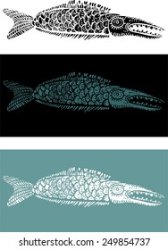 Fish vector illustration