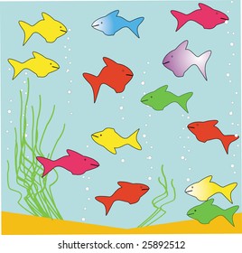 Fish vector illustration