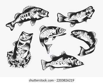 Fish vector illustration bundle set graphic.