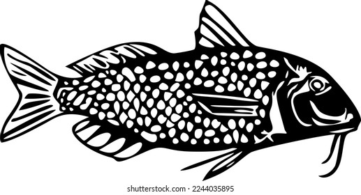 Fish Vector illustration 