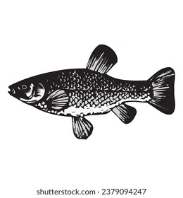Ilustración de vectores de peces, imágenes prediseñadas, símbolo de peces blancos y negros aislados en fondo blanco.
