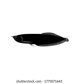 Fish vector illustration designed more real
