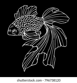 Fish vector illustration. Doodle style. Design, print, logo, decor, textile, paper.