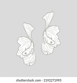 Fish vector illustration, drawing of a betta fish, siamese fighting fish design