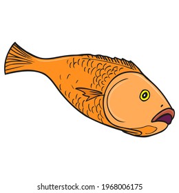 fish vector illustration,
isolated on white background.top view