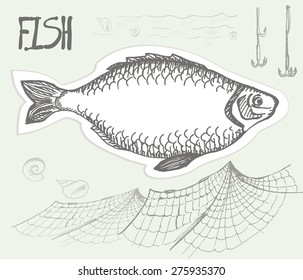  fish. vector illustration. neutral background