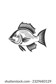 Fish vector illustration on white background