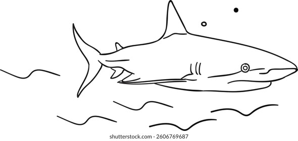 Fish vector illustration Use For Poster , School Poster