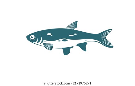 Fish Vector Illustration for your project