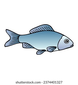 fish vector illustration,isolated on white background,top view