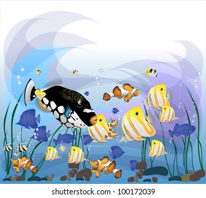 Fish (vector image)