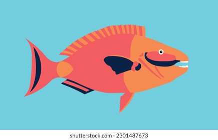 Fish vector image or clipart