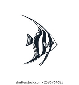 fish vector and image natural