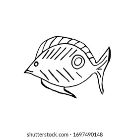 Fish vector linear drawing on a white background. Staining.