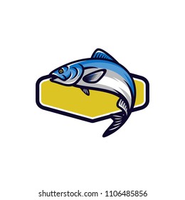 Fish vector mascot icon illustration
