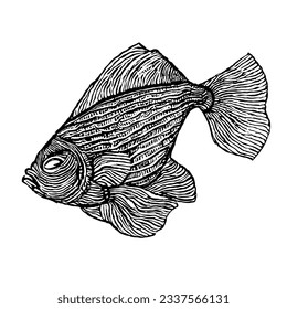 Dibujo de líneas mínimas de vectores de pescado