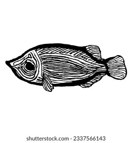Fish Vector Minimal Line Art Drawing