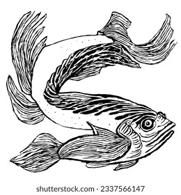 Fish Vector Minimal Line Art Drawing