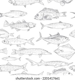 Fish vector seafood background, vintage sketch of fish seamless pattern.