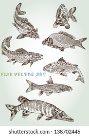 fish vector set