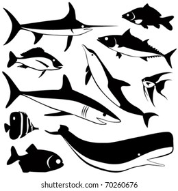 fish vector set