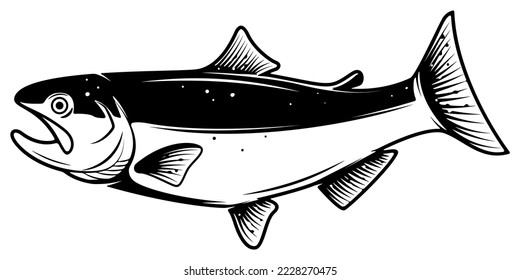 fish vector, silhouette vector, isolated illustration abstract pattern on white background