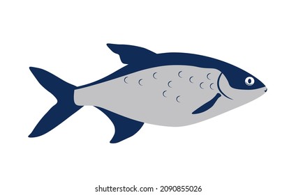 Fish vector stock illustration. A marine animal. Seafood. Fins, gills, tail. Swims in the sea. Isolated on a white background.