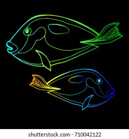 fish vector underwater sea ocean illustration marine