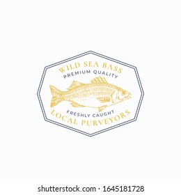 Fish Vintage Frame Badge Or Logo Template. Hand Drawn Wild Sea Bass Sketch Emblem With Retro Typography. Isolated.