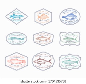 Fish Vintage Frame Badges or Logo Templates Set. Tuna, Herring, Mackerel, Sturgeon, etc. Fish Illustrations. Hand Drawn River and Ocean Fishes Sketch Emblems Bundle with Retro Typography. Isolated.
