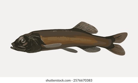 Fish vintage illustration isolated on white, vector. Vintage fish illustration, hand draw art element. Drawing of fish, vector.
